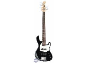 Cort GB55