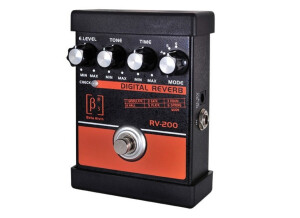 Beta Aivin RV-200 Digital Reverb