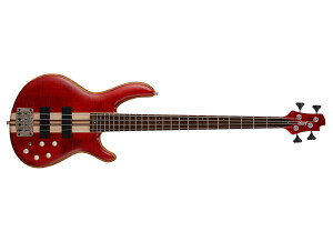 Cort Artisan A4 Plus FMMH