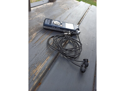 Immersive Soundscapes Earsight microphones - Binaural version