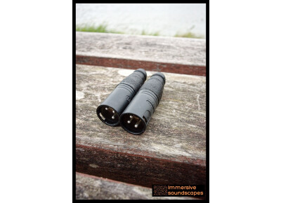 Immersive Soundscapes Earsight microphone - THUMB paire stereo omni