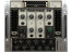 Acustica Audio Tulip