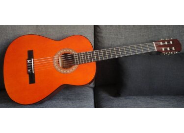 Goldy Guitars C-10