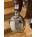 See the photo of the Sound Master SH 777 Sound Master SH 777