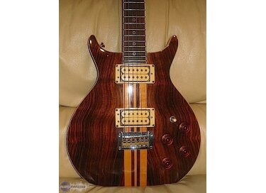 Washburn Falcon