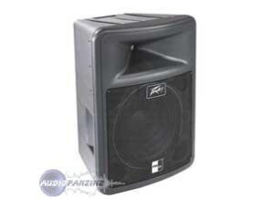 Peavey PR 15