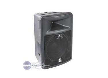 Peavey PR 15