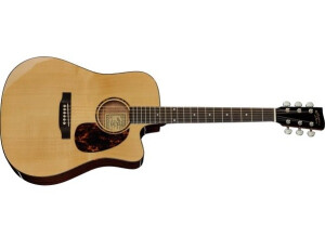 Recording King RD-G6-CFE5