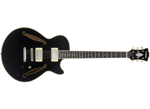 D'angelico Excel SS Tour