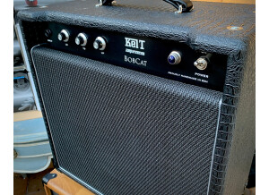 Kelt Amplification Bobcat