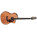 Takamine LTD2022