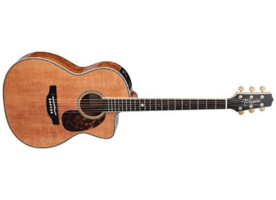 Takamine LTD2022