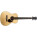Eastman Travel ACTG1