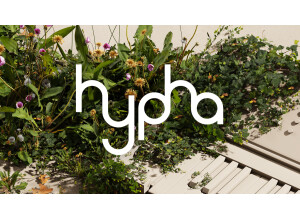 Native Instruments Hypha