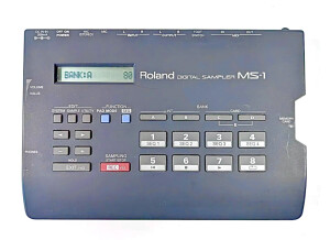 Roland MS-1 Digital Sampler