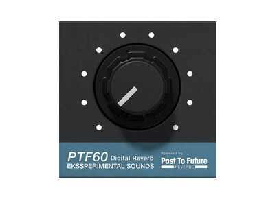 Ekssperimental Sounds Studio PTF60 Digital Reverb