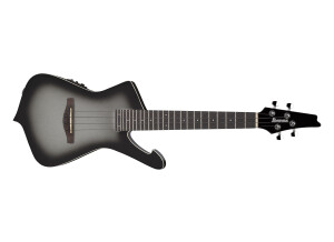 Ibanez UICT100