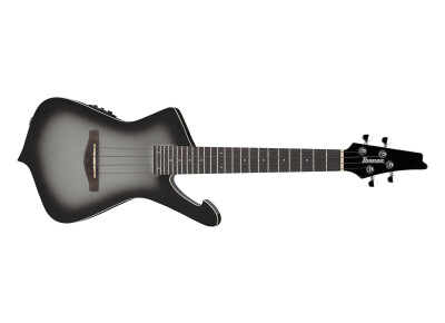 Ibanez UICT100