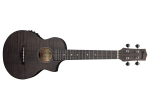 Ibanez UEW12E