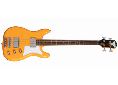 Epiphone Newport Bass