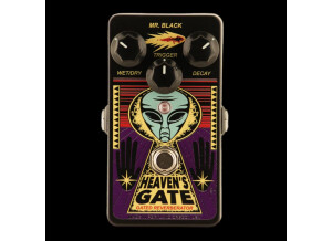 Mr. Black Heaven's Gate