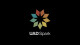 Spark est en promo chez Univeral Audio