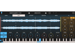 Bleass SampleWiz 2