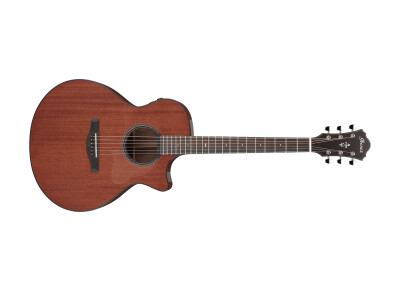 Ibanez AE440