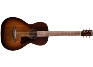 Art & Lutherie Roadhouse A/E