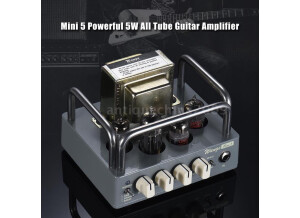Wangs Mini 5