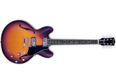 Edwards E-SA-160LTS