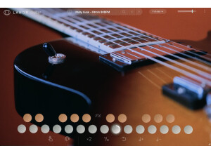 Landr Guitar
