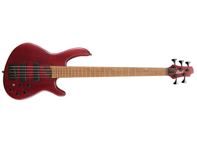 Cort Artisan B5 Plus AS RM