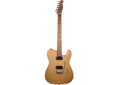 Harley Benton Fusion-T 25TH