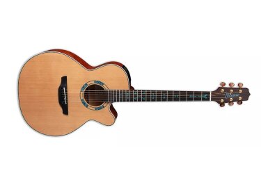 Takamine LTD2023 Santa Fe 30th Anniversary