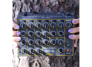 AVP Synth SD-6