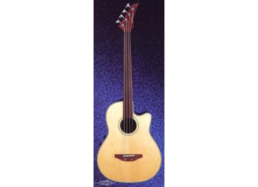 Applause AE40F