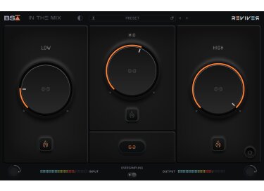 Black Salt Audio Reviver