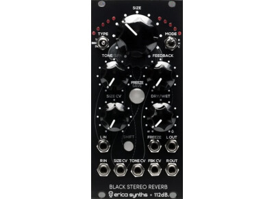 Erica Synths Black Stereo Reverb