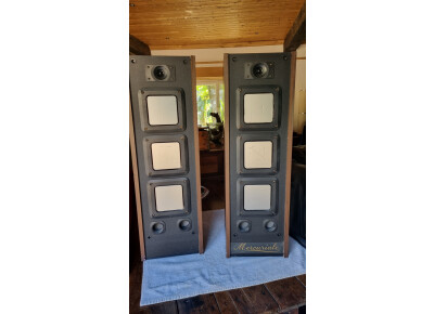 Mercuriale digital 120