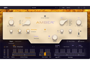 Ujam Virtual Guitarist Amber 2