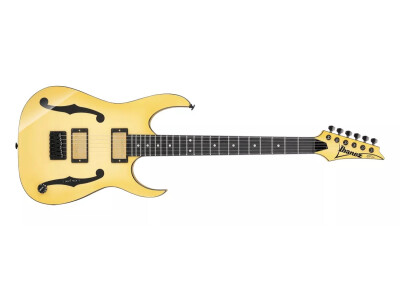 Ibanez PGM1000T Paul Gilbert Signature