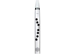 Mooer Wi100