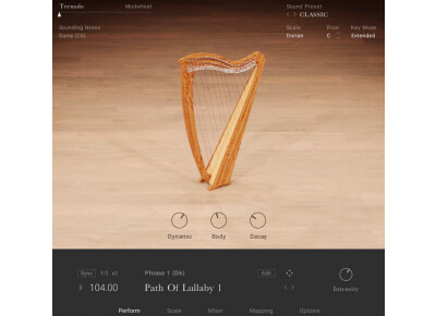 Native Instruments Irish Harp