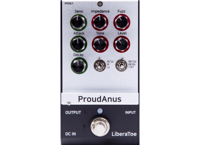 LiberaToe ProudAnus (filter-fuzz)