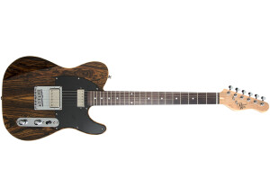 Michael Kelly Guitars Mod Shop 55 Ebony Custom Fralin