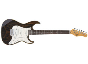 Michael Kelly Guitars Custom Collection 1965 Striped Ebony