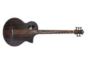 Michael Kelly Guitars Dragonfly 5 Port