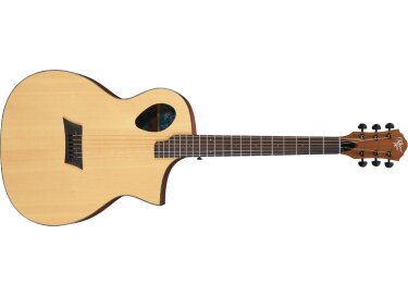 Michael Kelly Guitars Forte Port