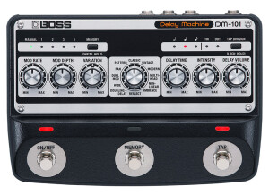 Boss DM-101 Delay Machine